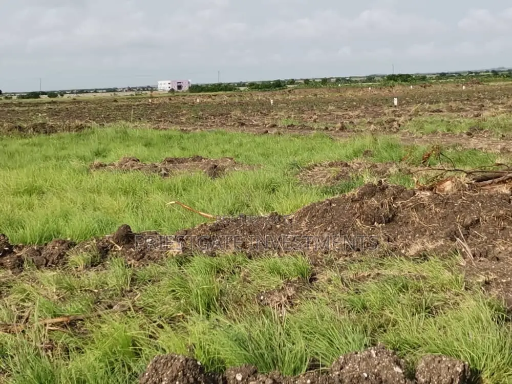 Don't Miss Out! Spacious Land for Sale at Tsopoli - Land in Greater Accra, Ningo-Prampram, Dawhenya - Sale