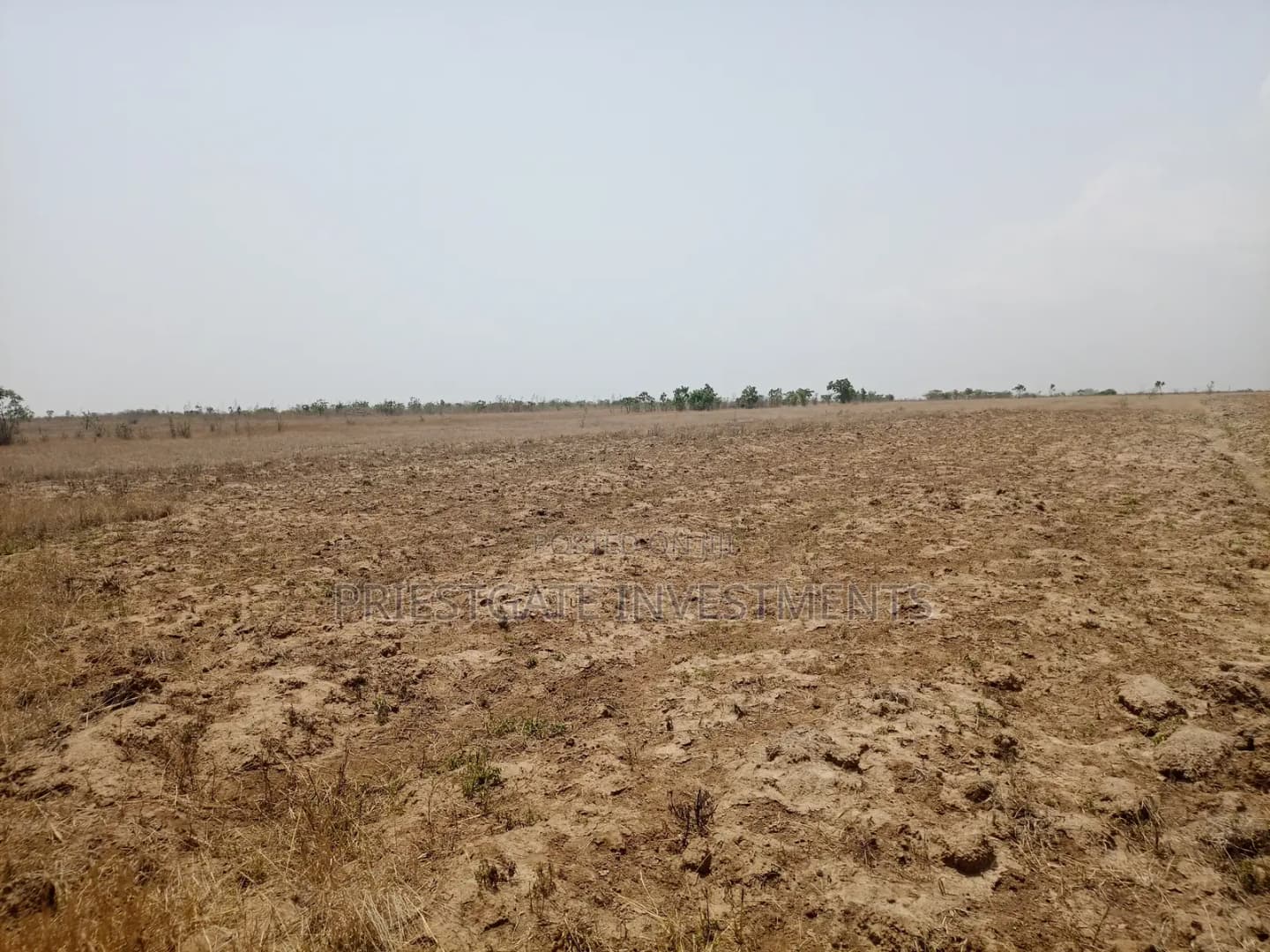 Invest in Your Future – Prime Land at Tsopoli - Land in Greater Accra, Ningo-Prampram, Dawhenya - Sale