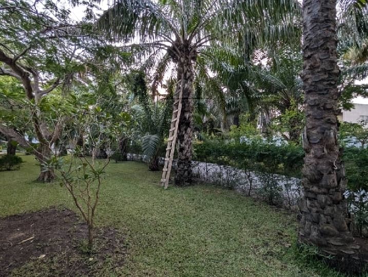 10 room commercial space for rent at Cantonments - 10 bedroom Commercial in Cantonments - Rent