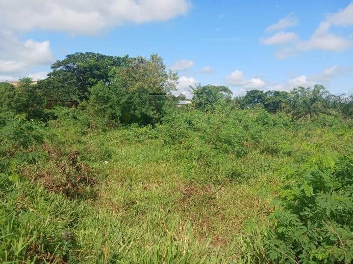 Commercial serviced land for sale at Nsawam Road - Land in Nsawam Road - Sale