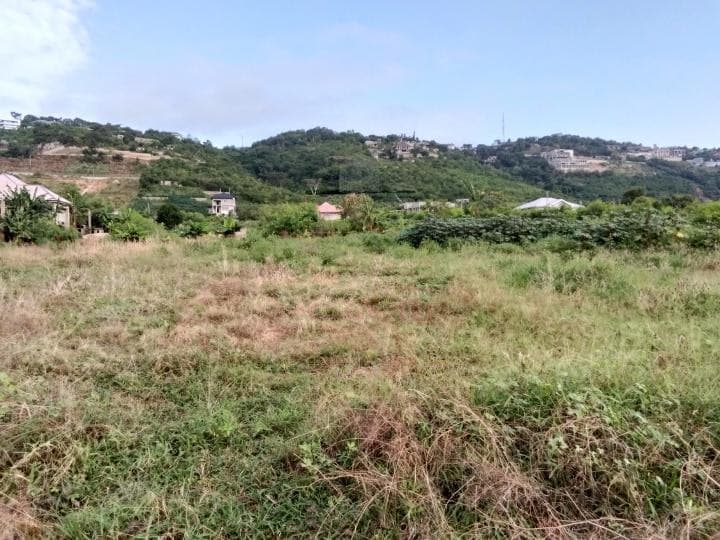 serviced land for sale at Ayi Mensah OPPOSITE REHOBOTH PALM PROPERTIES - Land in Ayi Mensah OPPOSITE REHOBOTH PALM PROPERTIES - Sale