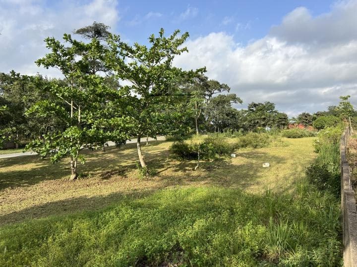 serviced land for sale at Aburi - Land in Aburi - Sale