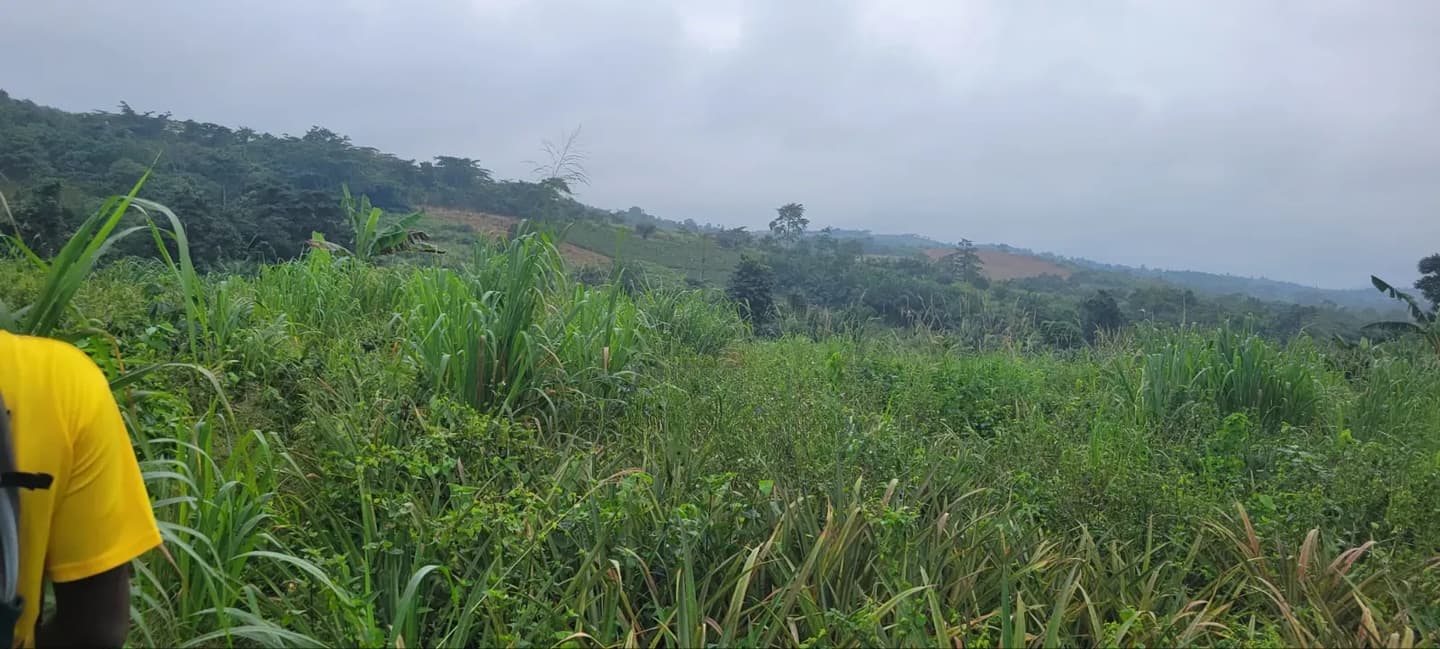 Farm Land at Aburi - Land in Eastern Region, Akuapim South, Aburi - Sale