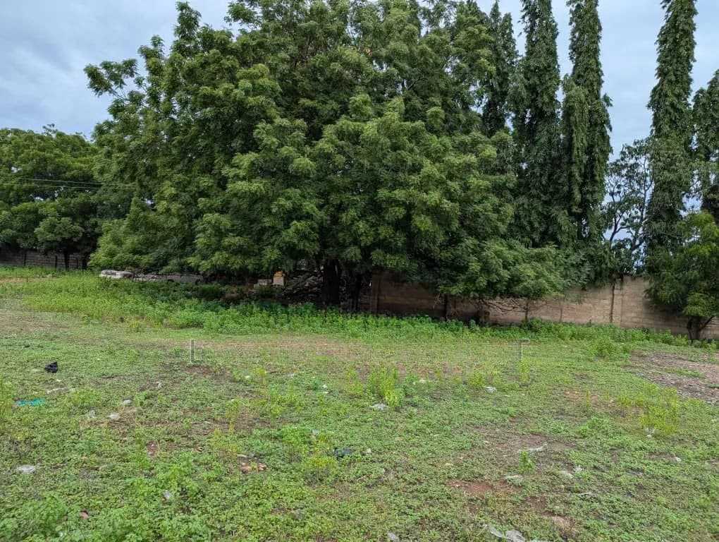 2,15 Acres of Roadside Land at Dzorwulu for Sale - Land in Greater Accra, Dzorwulu - Sale