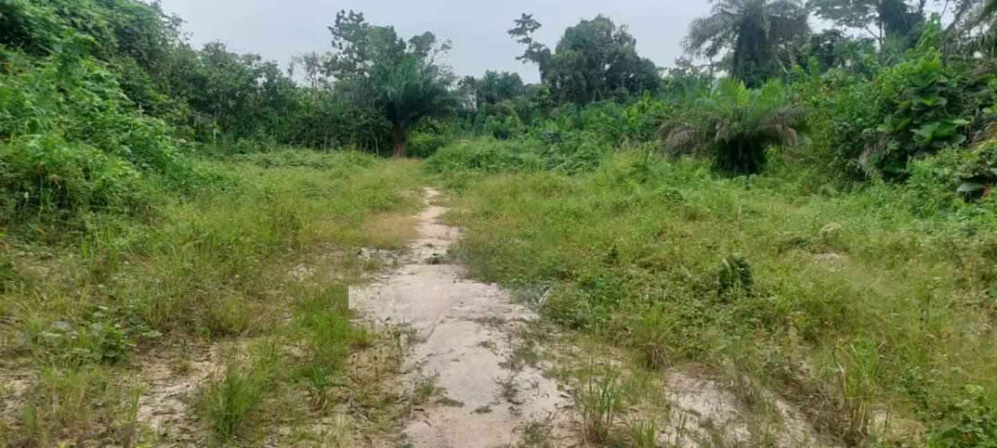 One Acre Farm Land for Sale - Land in Ashanti, Kwabre - Sale