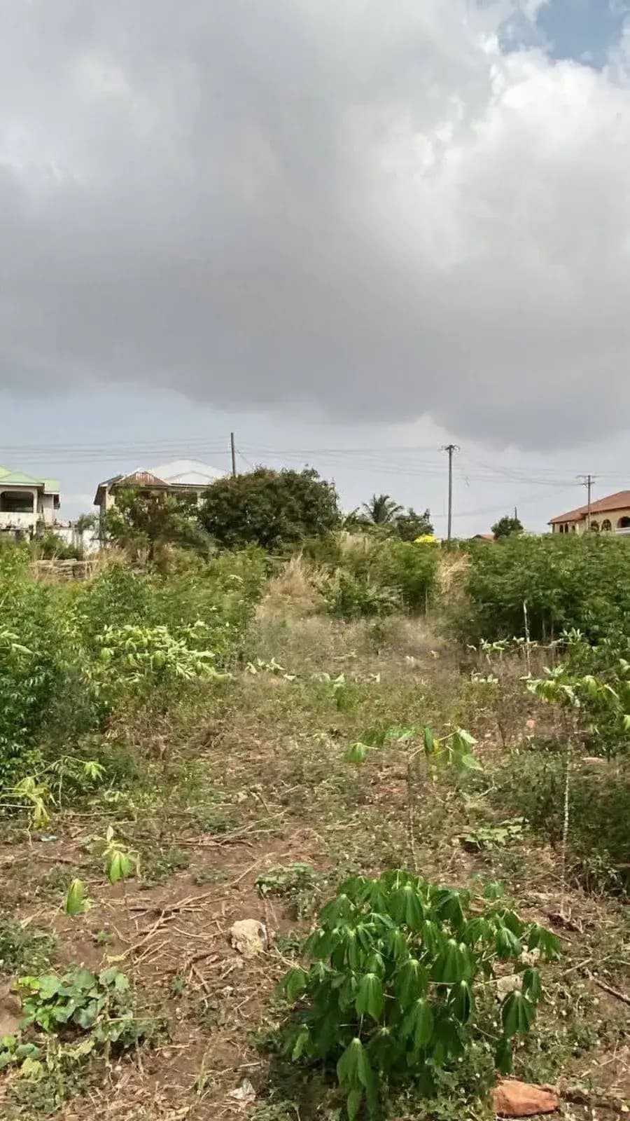 Five Plot of Land for Sale at Oyarifa - Land in Greater Accra, Oyarifa - Sale