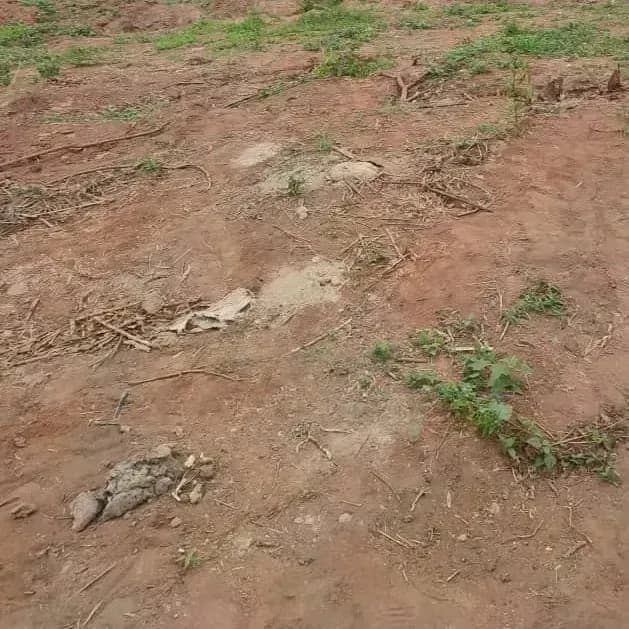 Available Land at Oyarifa - Land in Greater Accra, Oyarifa, Ghana Flag - Sale