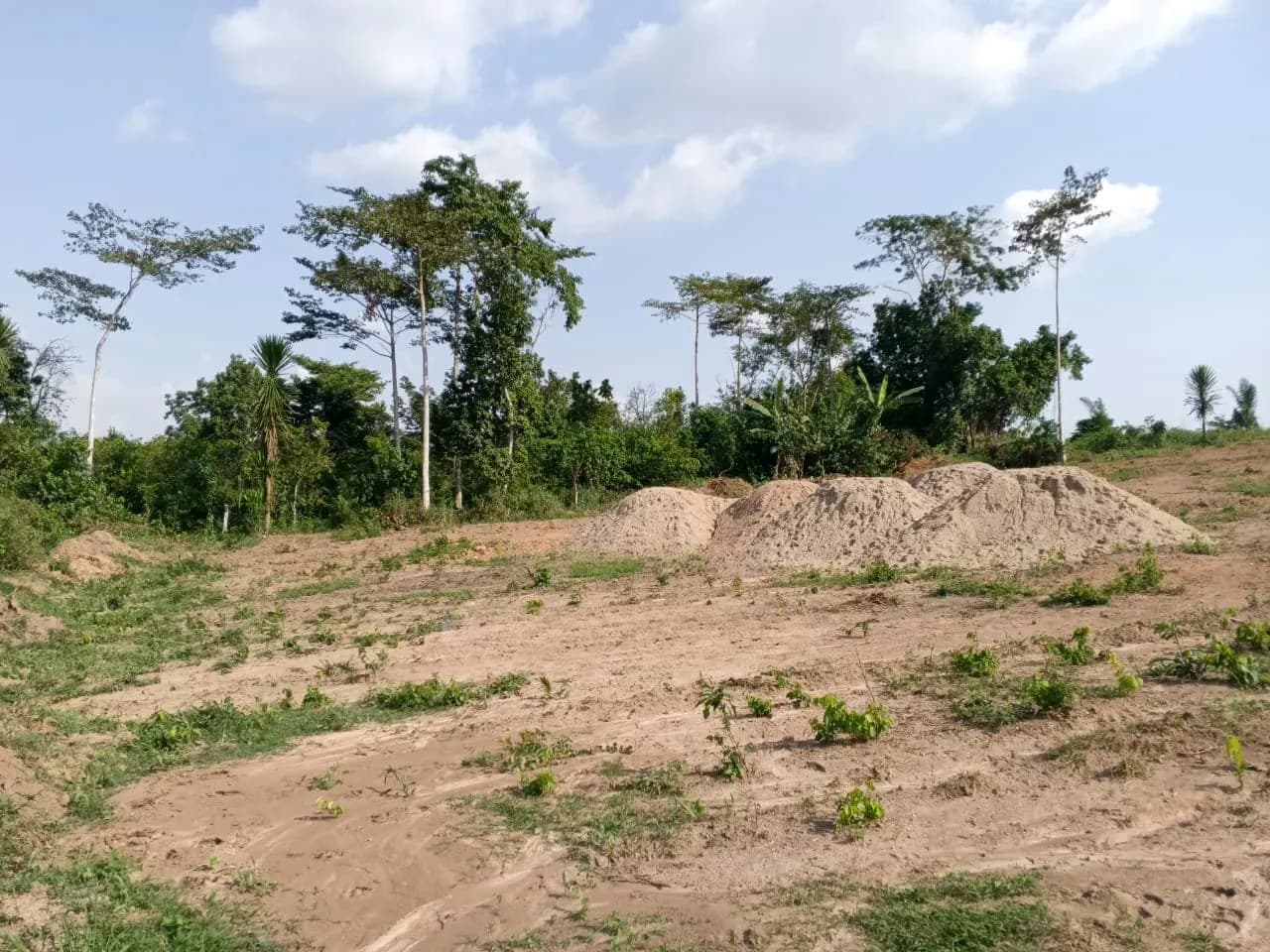 Half Plot for Sale at Offinso - Land in Ashanti, Kumasi Metropolitan - Sale