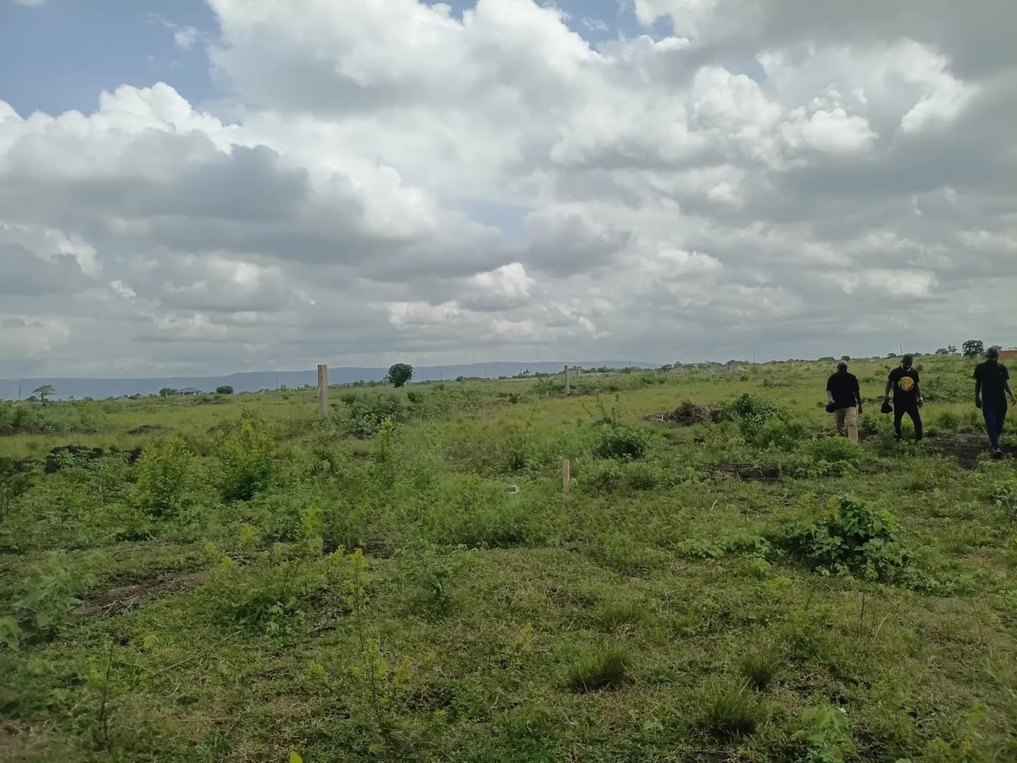 Litigation‐Free Land — 70x100ft Plot at Shai Hills - Land in Greater Accra, Accra Metropolitan - Sale