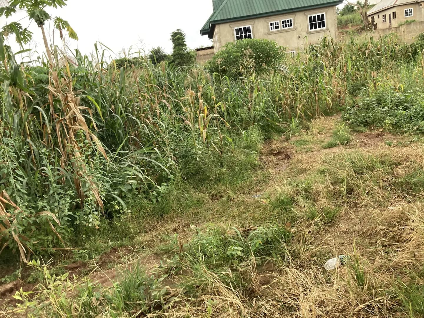 Half Plot for Sale at Sokoban,Aboabo. - Land in Ashanti, Kumasi Metropolitan - Sale