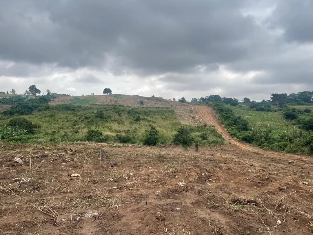 Lands for Sale - Land in Eastern Region, Akuapim South, Aburi - Sale