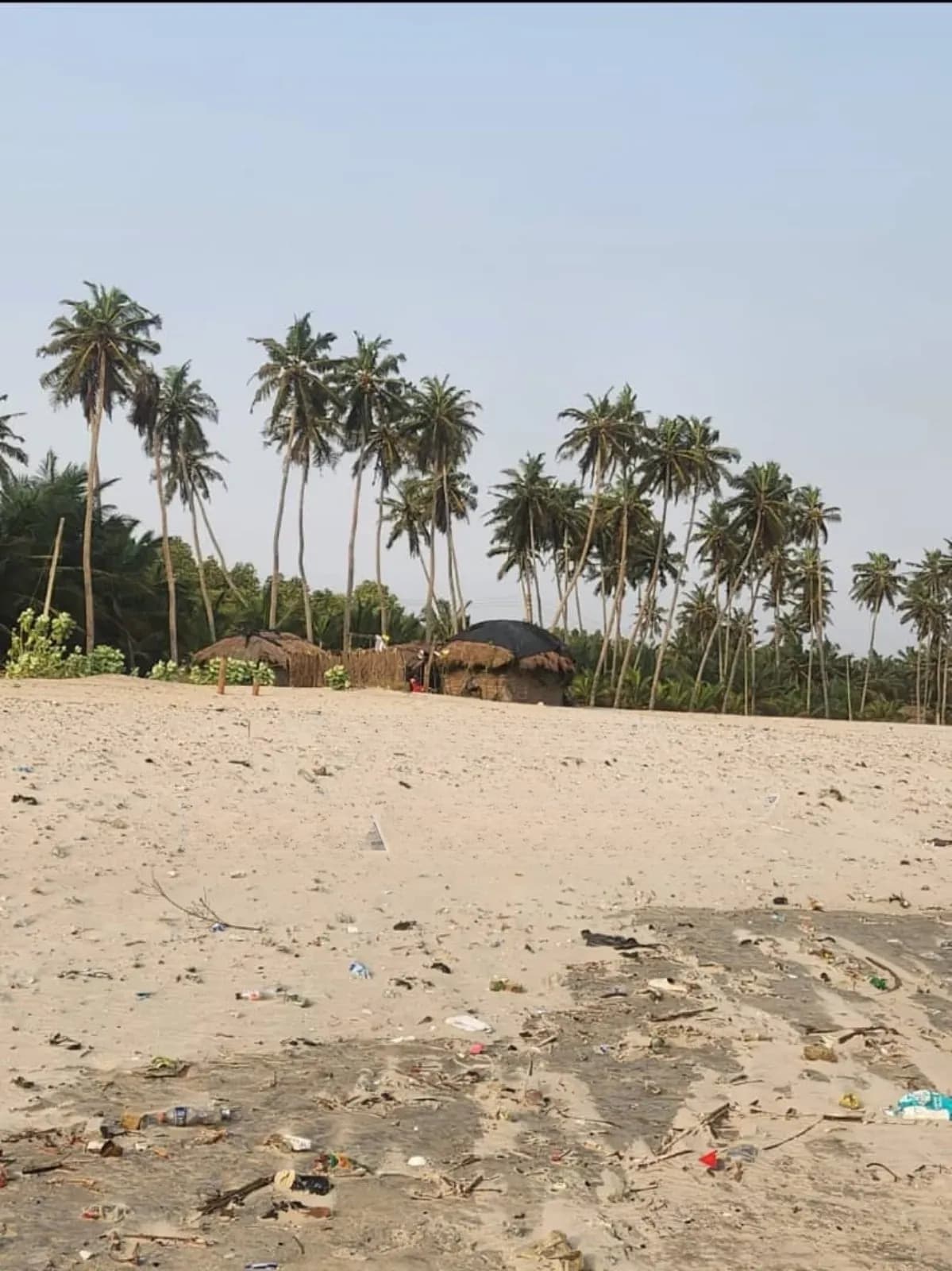Beach Land for Sale Located at Ada Foah - Land in Greater Accra, Accra Metropolitan - Sale