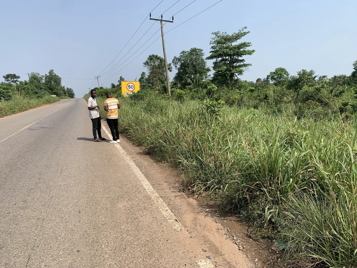50 Acres at Adeiso for Sale - Land in Eastern Region, East Akim Municipal - Sale