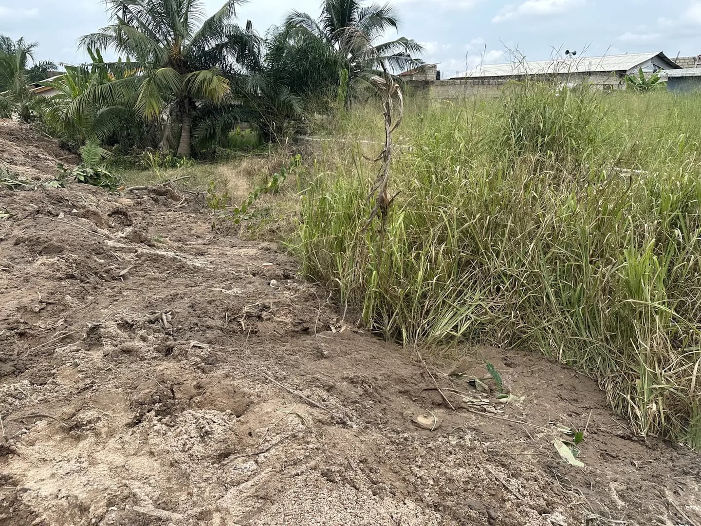Land 4 Sale at Ahomaso - Land in Ashanti, Kumasi Metropolitan - Sale