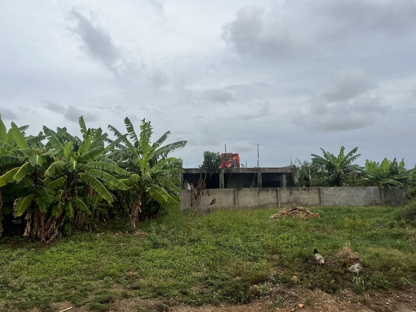 1 Plot of Land for Sale at Dansoman. - Land in Greater Accra, Dansoman - Sale