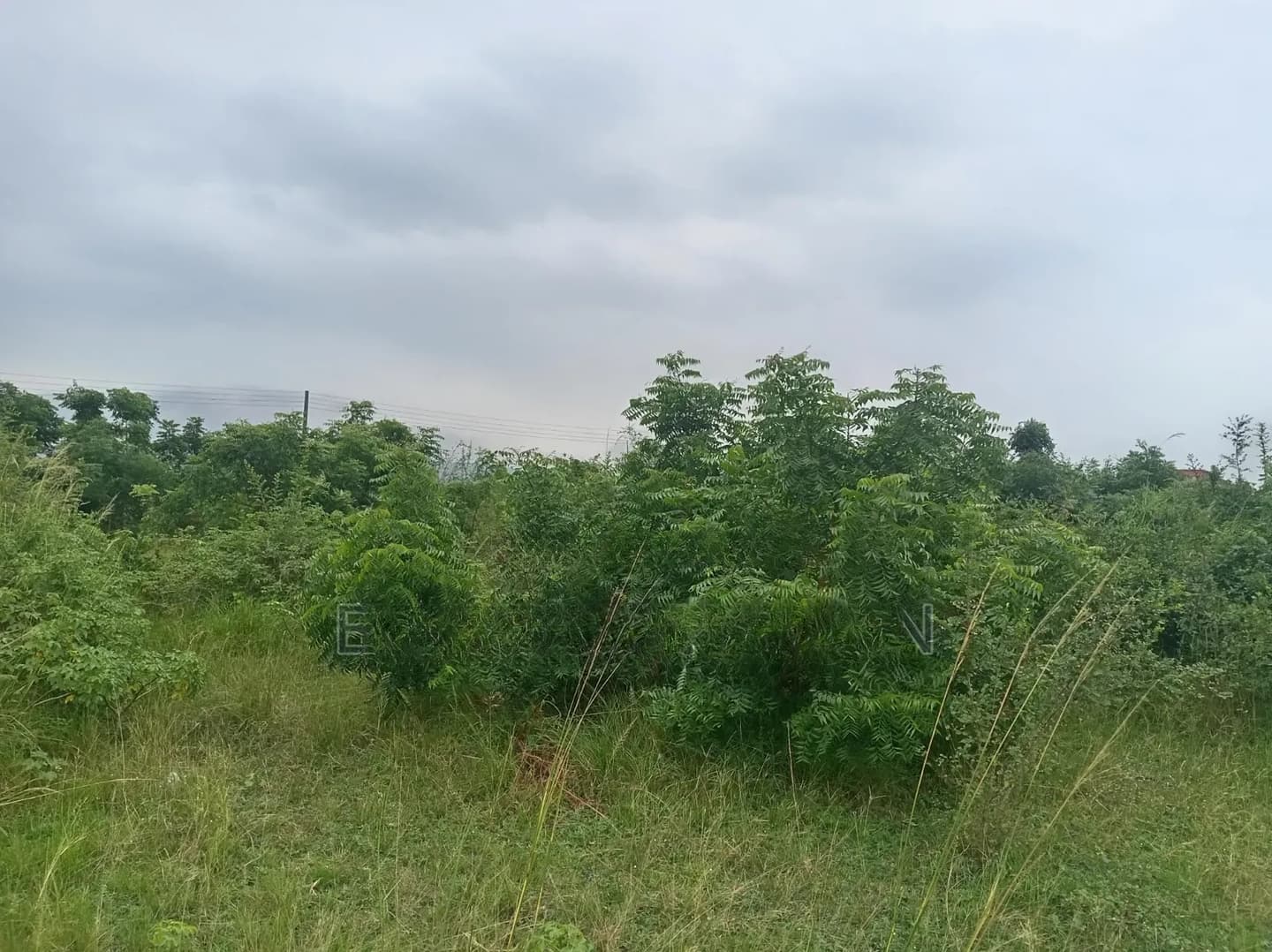 Half Plot of Land (80/50) at Shai Hills, Sun City Junction. - Land in Greater Accra, Tema Metropolitan, Community 25 - Sale