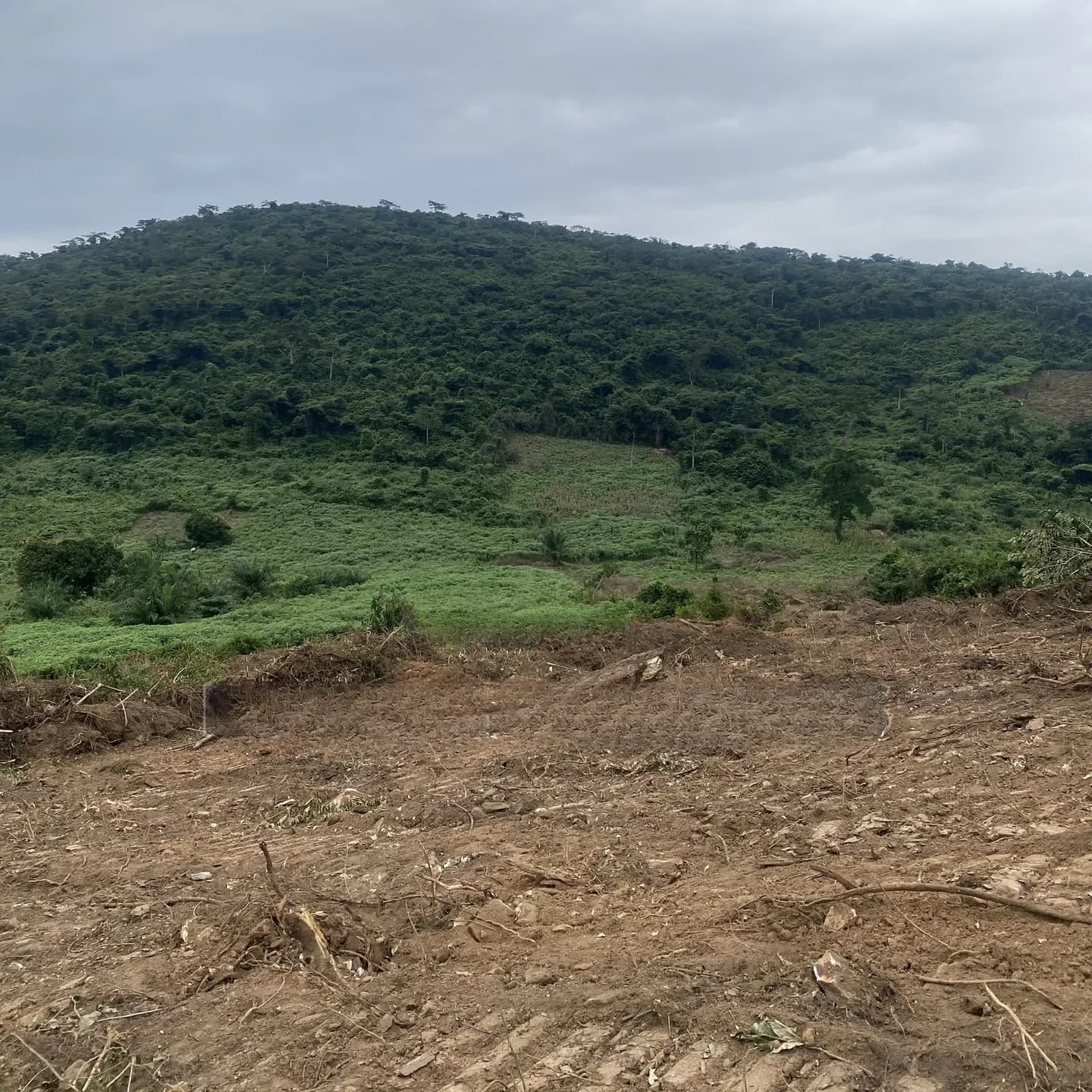 Acres of Land in Aburi, Per Plot Is 60,000 GHS - Land in Eastern Region, Akuapim South, Aburi - Sale