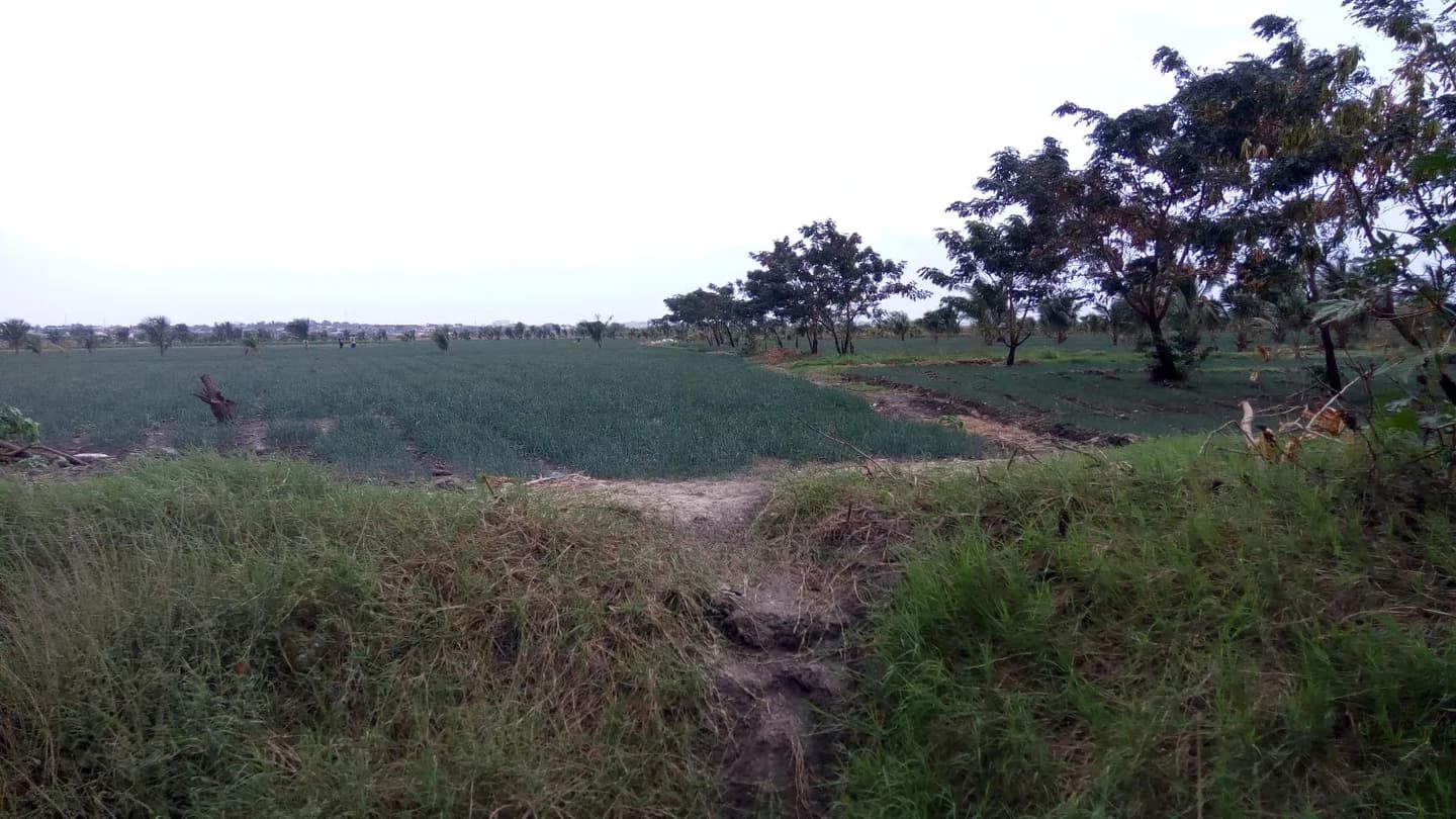 Farm Lands For Long Lease And Sale - Commercial in Greater Accra, Tema Metropolitan - Sale