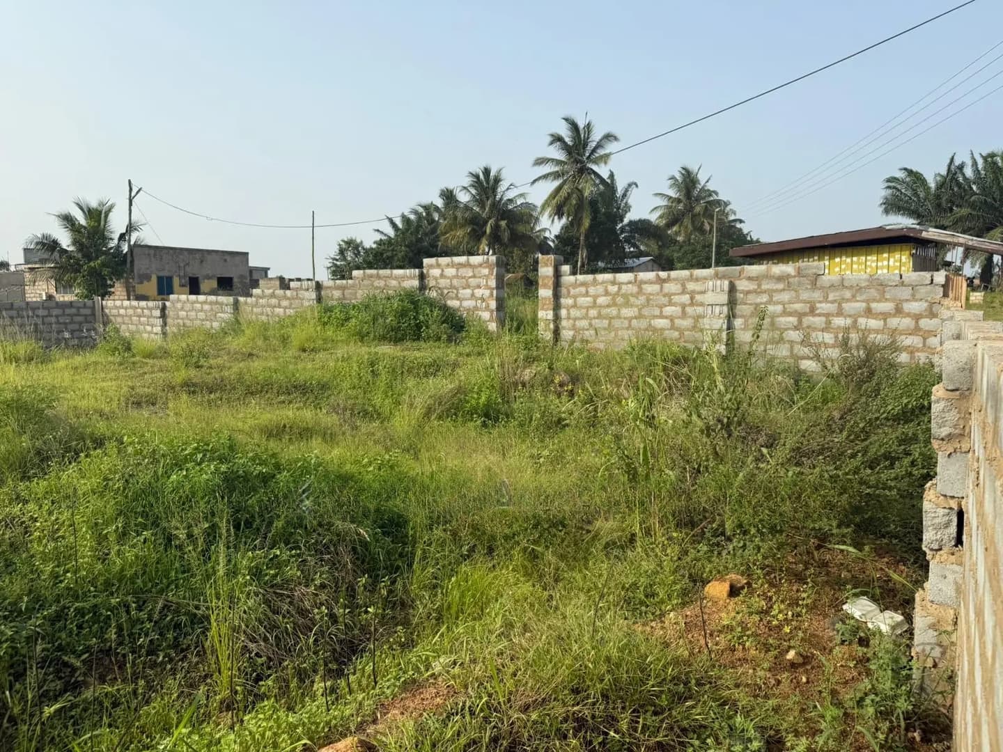80x80 Land by Road Side - Land in Eastern Region, Nsawam Adoagyiri Municipal - Sale