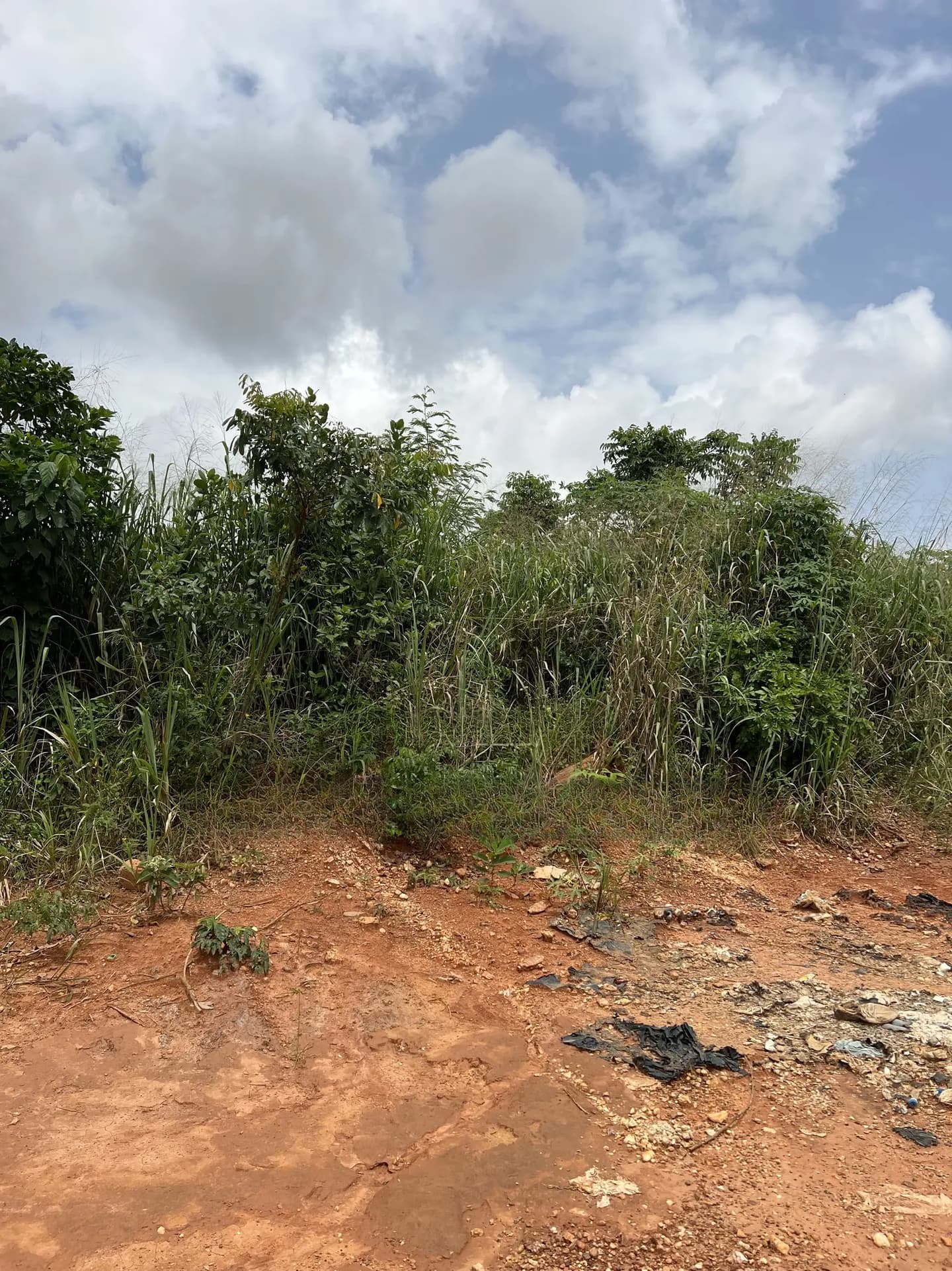 Plots for Sale at Pakyi No. 2 - Land in Ashanti, Amansie West - Sale