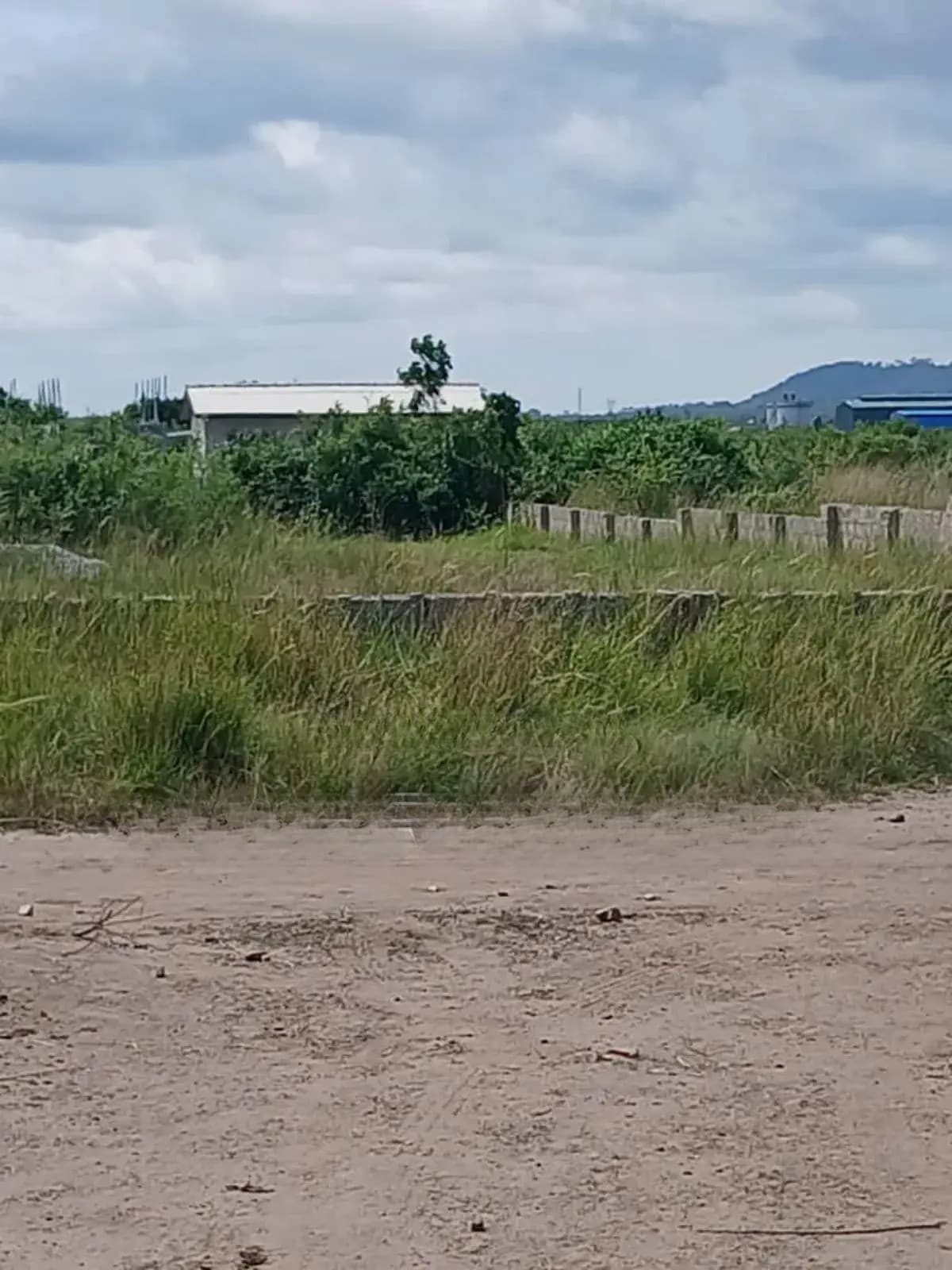 Registered Lands for Sale in Winneba - Land in Central Region, Effutu Municipal - Sale