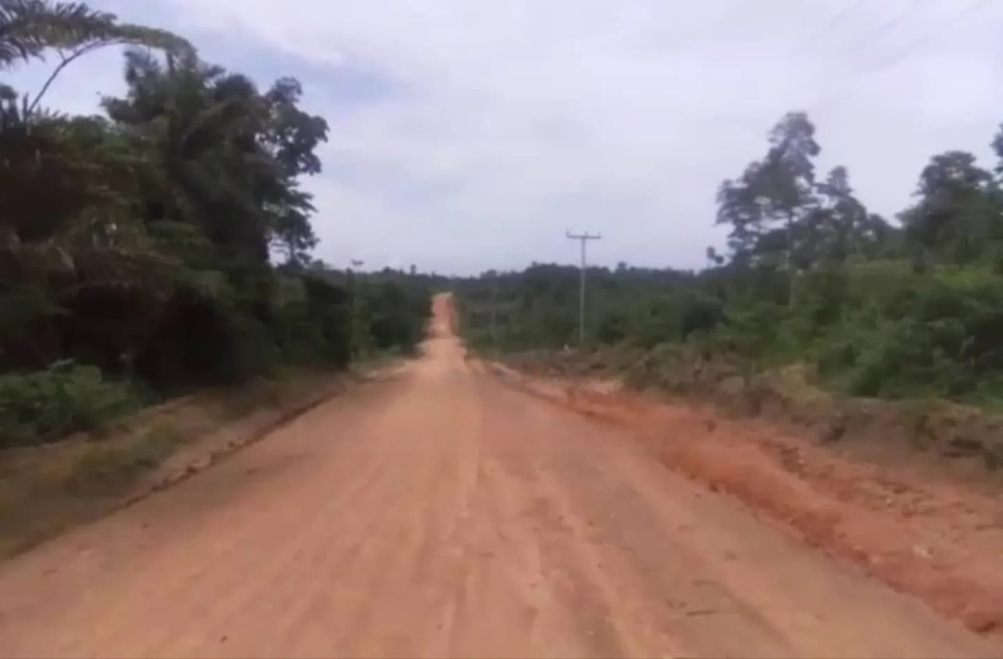 25,000 Acres Of Registered Farmland For Sale At Asamankese. - Land in Eastern Region, East Akim Municipal - Sale