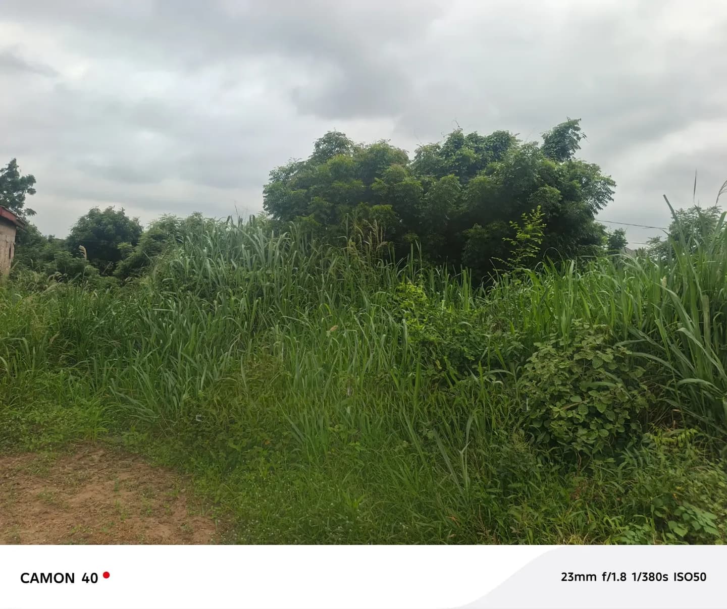 Property 100 by 70 - Land in Central Region, Awutu Senya East Municipal - Sale