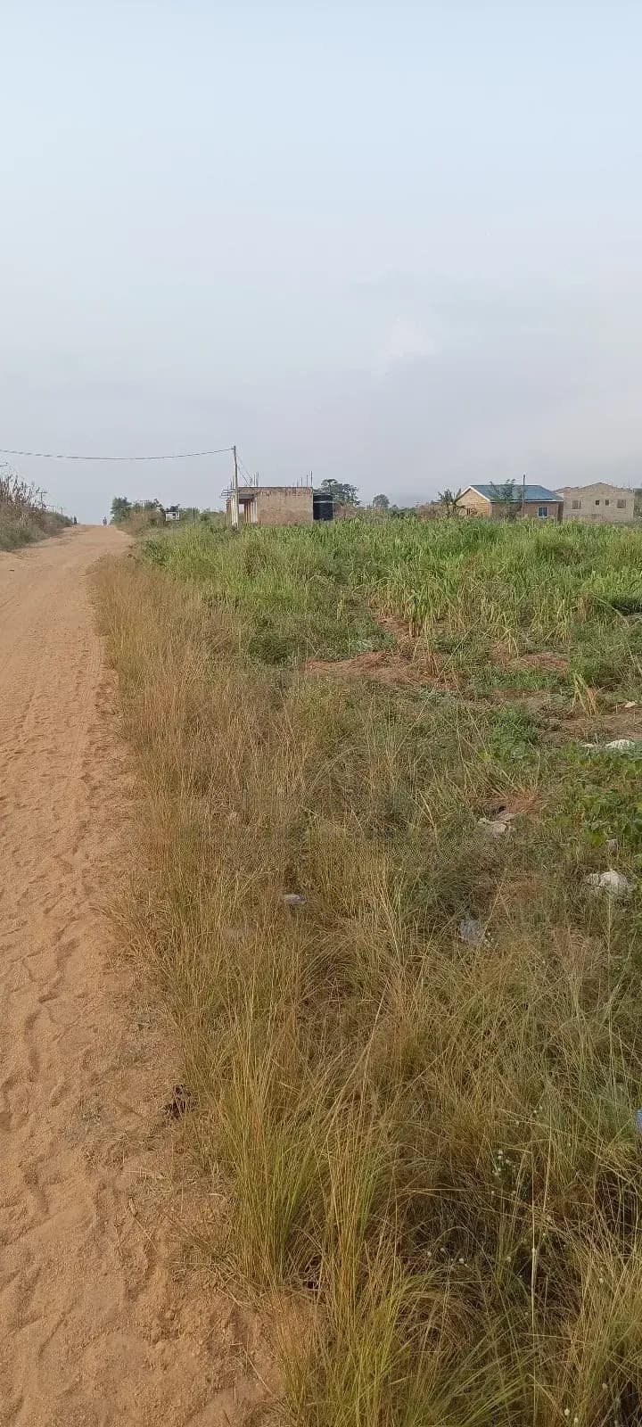 Two Plot of Land Amasaman Obom - Land in Greater Accra, Ga West Municipal, Amasaman - Sale