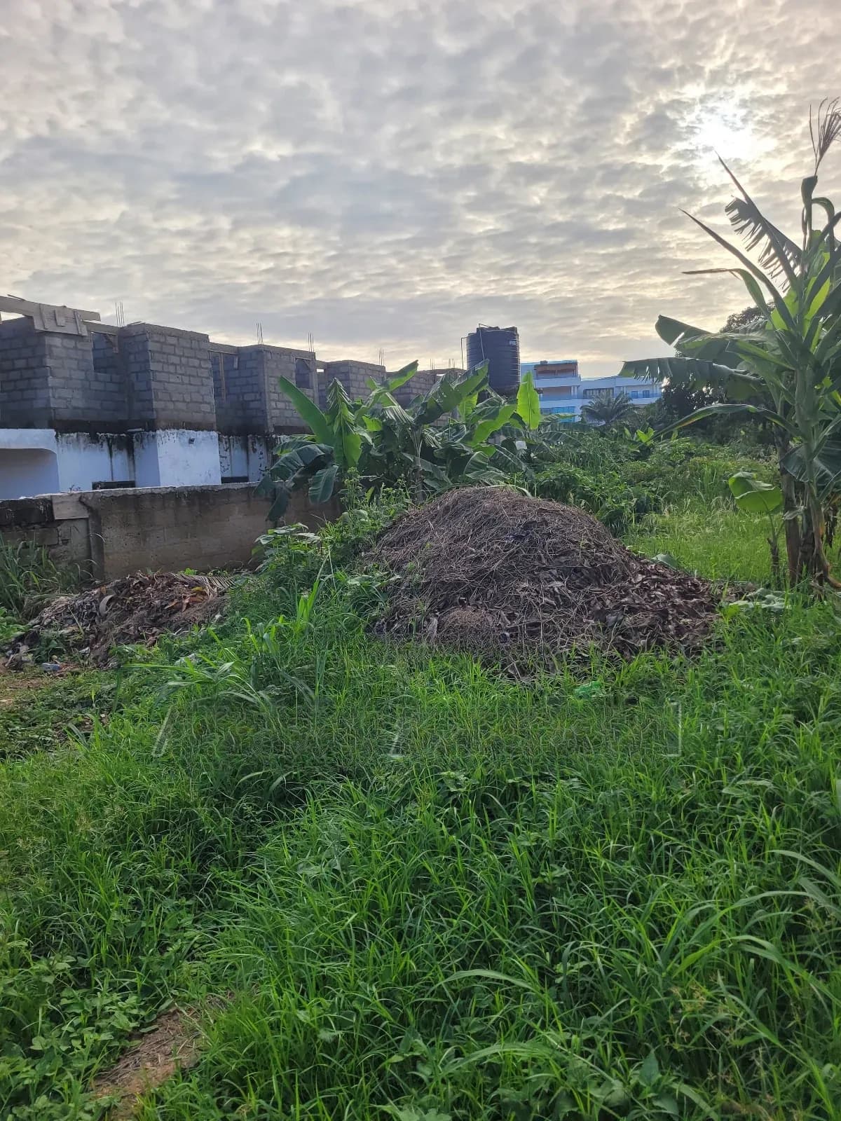 Land for Sale at Ahemakokoben - Land in Ashanti, Atwima Kwanwoma - Sale