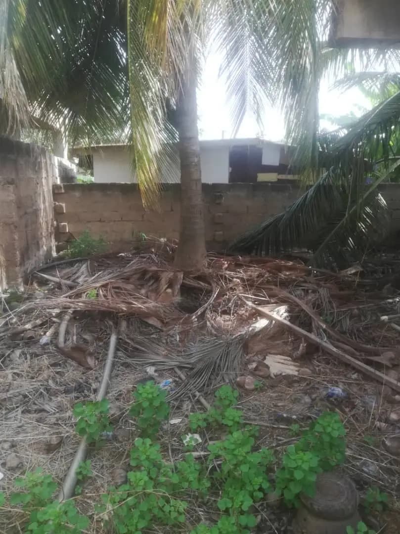 70x100 Titled Land With Old Structure on at UPSA - Land in Greater Accra, Madina, UPSA Area - Sale