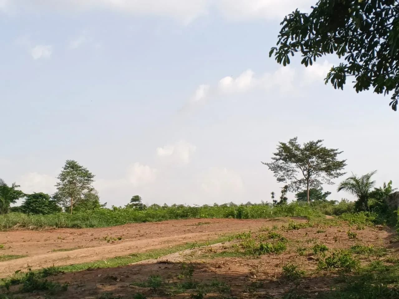 10 Plot for Sale Offinso Namong - Land in Ashanti, Kumasi Metropolitan - Sale