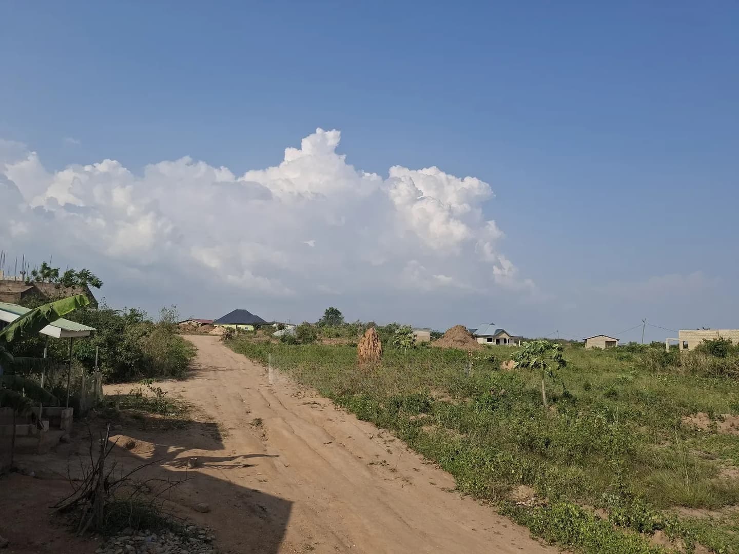 Registered Half Plot For Sale Kasoa - Land in Central Region, Gomoa East - Sale