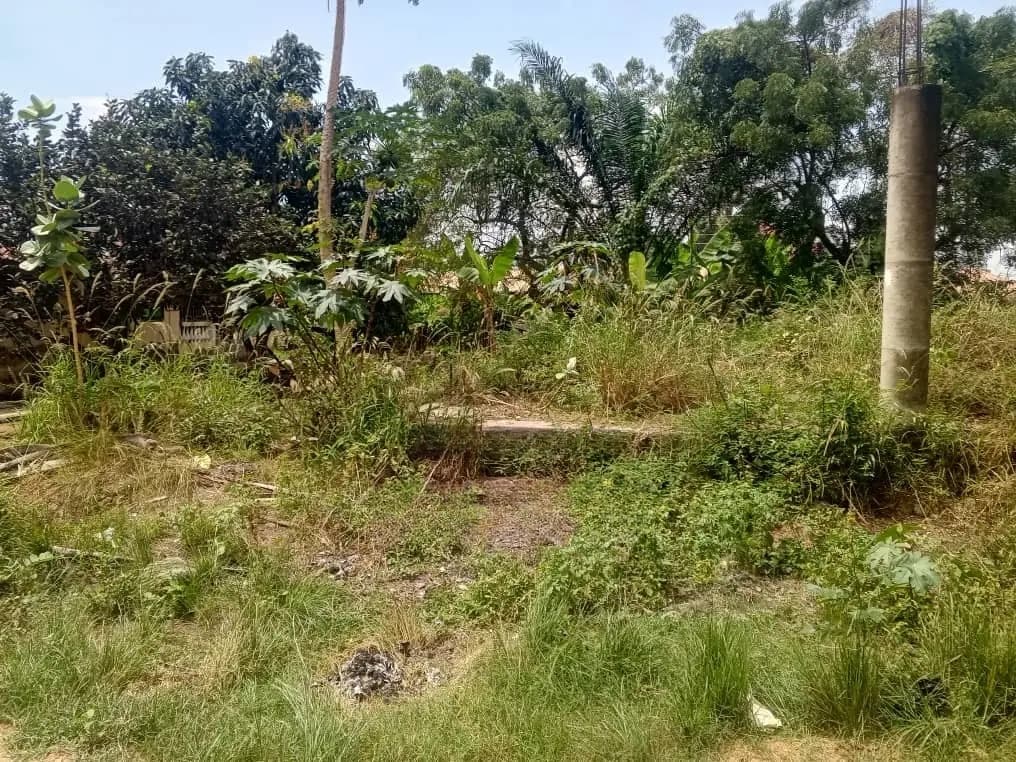 Half Plot of Land for Sale at Pokuase Canada - Land in Greater Accra, Pokuase - Sale