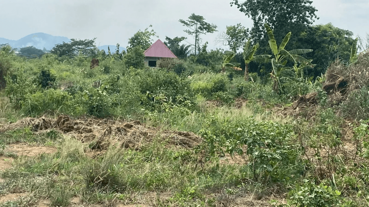 Acres of Land for Sale at Amasaman - 1 bedroom Land in Greater Accra, Amasaman - Sale